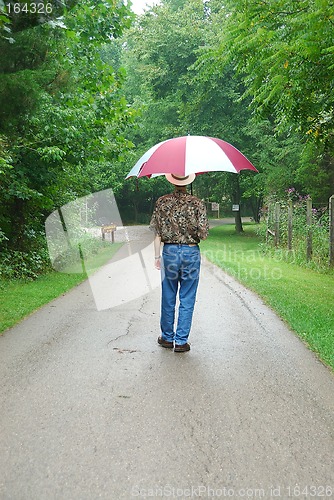 Image of Walking in the Rain