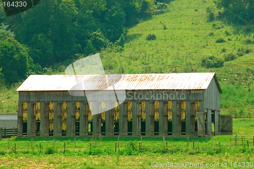 Image of Tobacco Barn