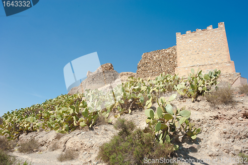 Image of Castle ruin