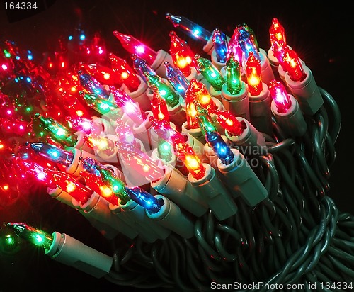 Image of Christmas Tree Lights