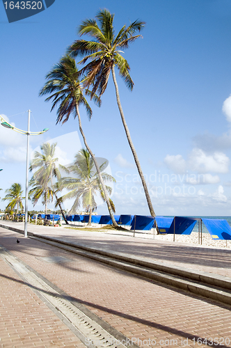Image of waterfront promenade beach palm trees San Andres Island Colombia