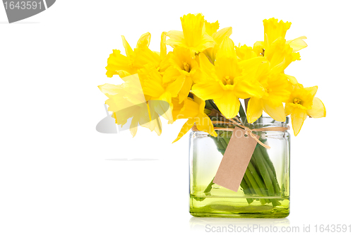 Image of daffodils