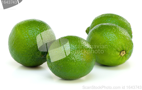Image of Four limes