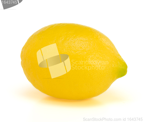 Image of Lonely lemon