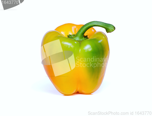 Image of Yellow pepper