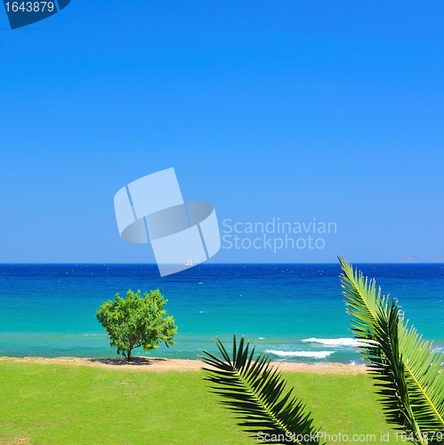 Image of Beautiful seashore