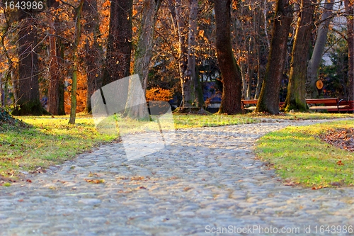 Image of lonely alley