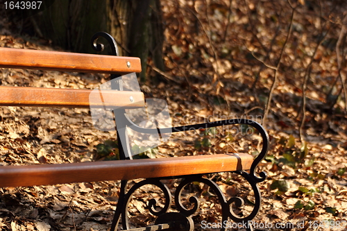 Image of lonely bench in the park