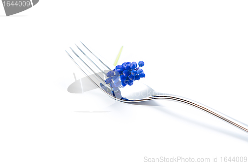 Image of Fork with blue lavender