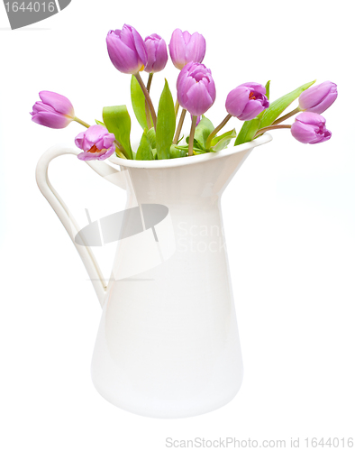 Image of Tulips in Pitcher