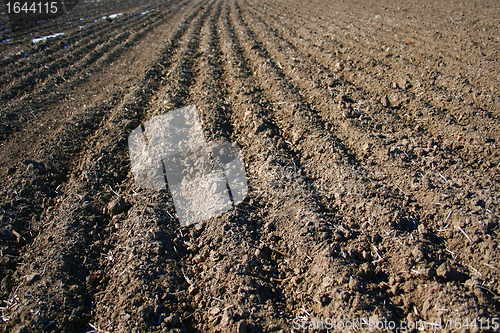 Image of sowing time