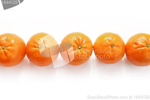 Image of Tangerine