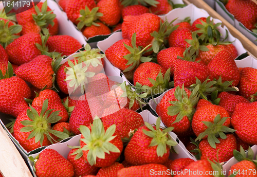 Image of fresh strawberry 