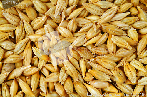 Image of heap of wheat grains