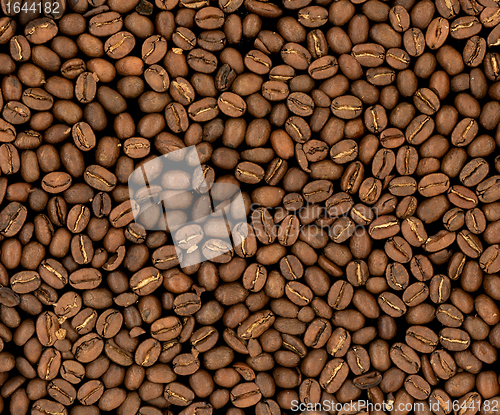 Image of roasted coffee beans