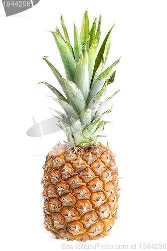 Image of Single fresh pineapple