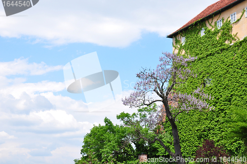 Image of Castle hill in Graz, Austria