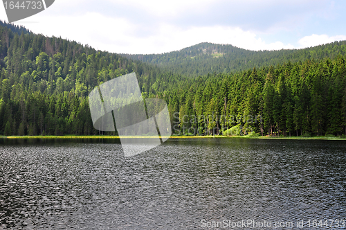 Image of Lake Arber in Bavaria (Grosser Arbersee)