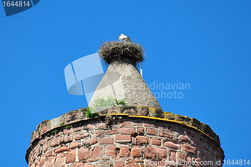 Image of Stork nest