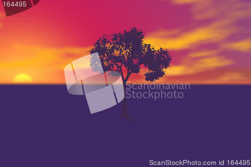 Image of Lone Tree at Sunset