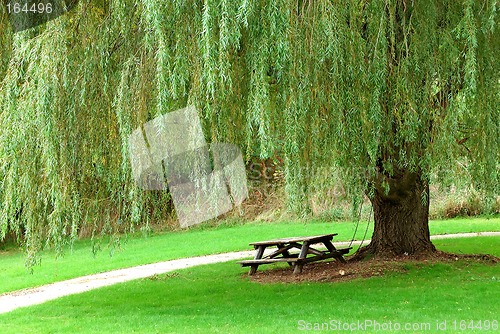 Image of Weeping Willow Picnic