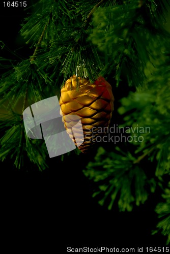Image of Christmas Tree Low Key Image