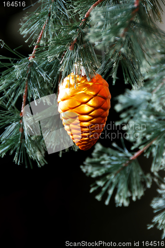 Image of Christmas Tree