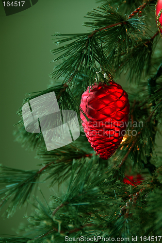 Image of Christmas Tree