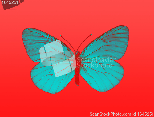 Image of Alien butterfly