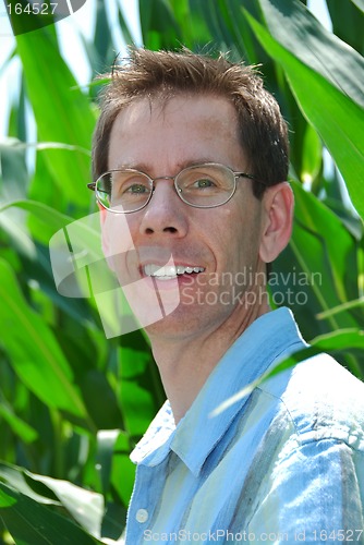 Image of Man in the Corn Rows