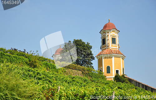 Image of Vineyard at Castle Stainz, Styria, Austria