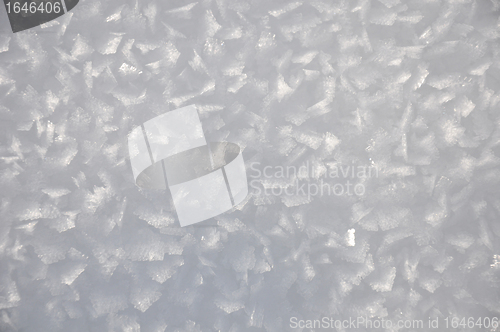 Image of Snow crystals