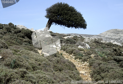 Image of Greek landscape on Rhodos