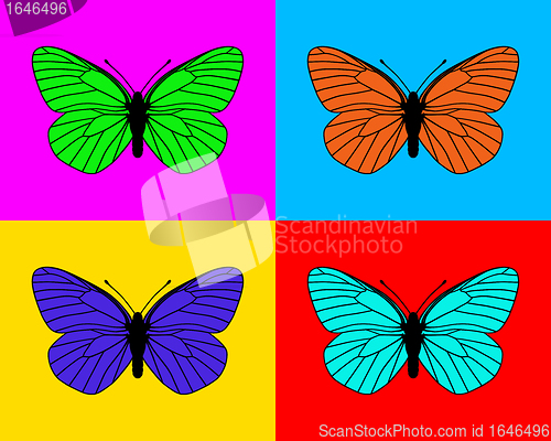 Image of Butterflies