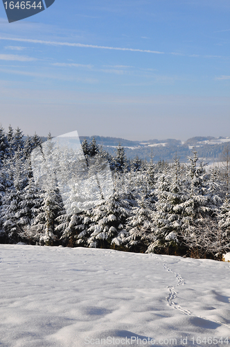 Image of Winter landscape in Bavaria