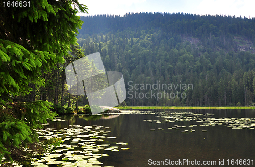 Image of Lake Arber in Bavaria (Grosser Arbersee)