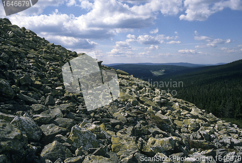 Image of Summit of Lusen (Bavarian Forest)