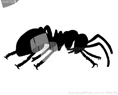 Image of Ant