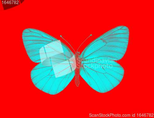 Image of Alien butterfly