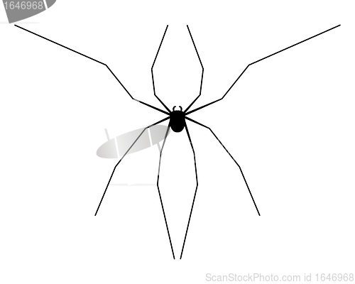 Image of Harvestman silhouette