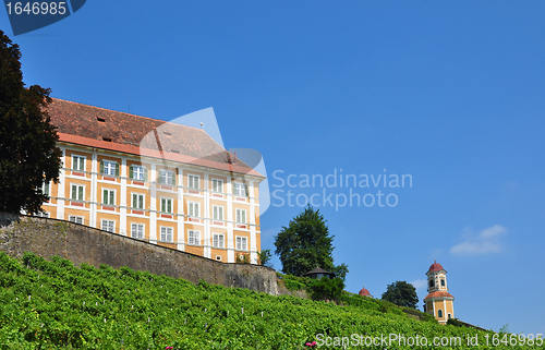 Image of Vineyard at Castle Stainz, Styria, Austria