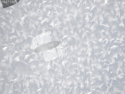 Image of Snow crystals