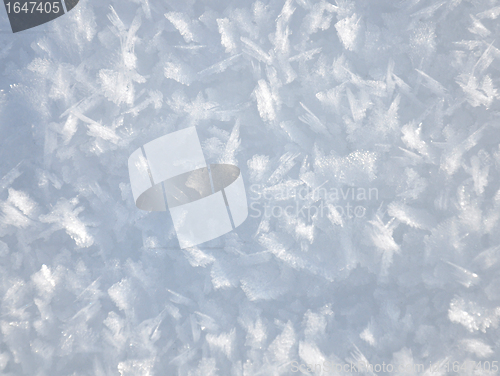 Image of Snow crystals