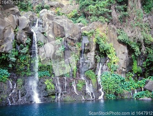 Image of Tropical cascades in La Reunion