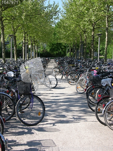 Image of Bike parking