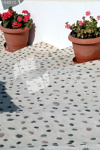 Image of steps with flower pots