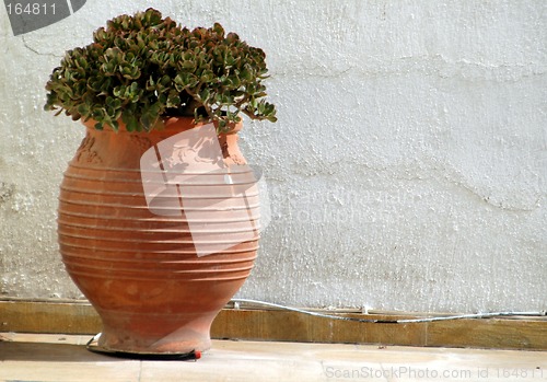 Image of vase with plant greek island scene