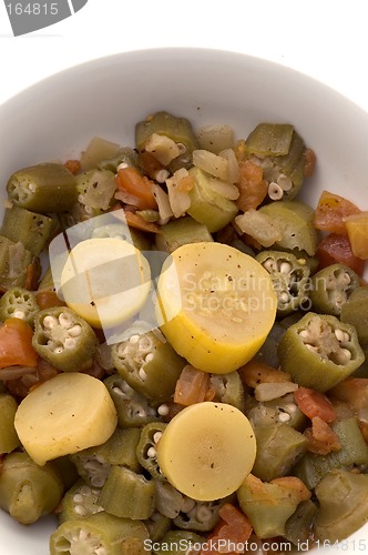 Image of okra and squash