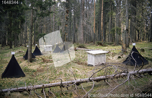 Image of Forest science setup