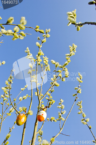 Image of spring easter sign egg hanging pussy willow branch 